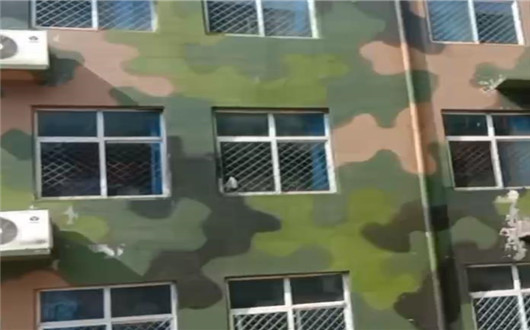 海南墙面军用迷彩施工方案