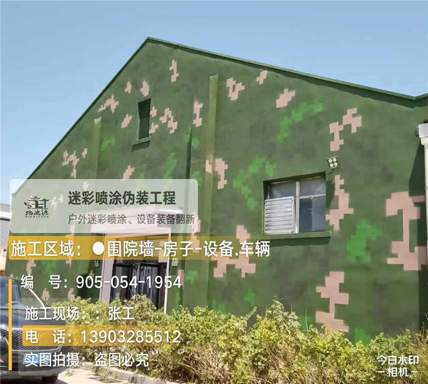 海南外墙数码迷彩漆施工报价清单（100㎡标准墙面测算）